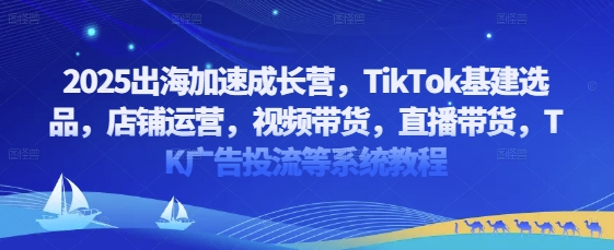 2025出海加速成长营，TikTok基建选品，店铺运营，视频带货，直播带货，TK广告投流等系统教程-资源V站