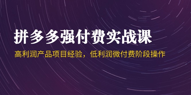 拼多多强付费实战课-44期，高利润产品项目经验，低利润微付费阶段操作-资源V站