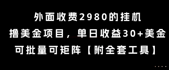 外面收费2980的挂G撸美金项目，单日收益30+美金，可批量可矩阵【揭秘】-资源V站