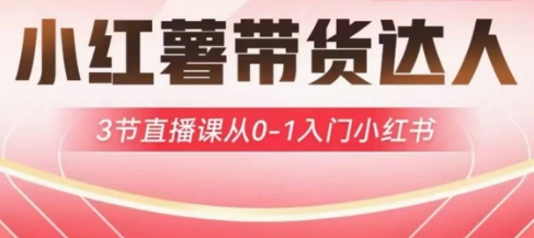 小红薯达人带货启航计划，3节直播课从0-1入门小红书-资源V站