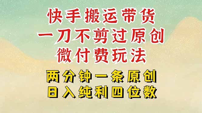 快手黑科技搬运带货，一刀不剪过原创，微付费投流玩法，轻松日入四位数…-资源V站