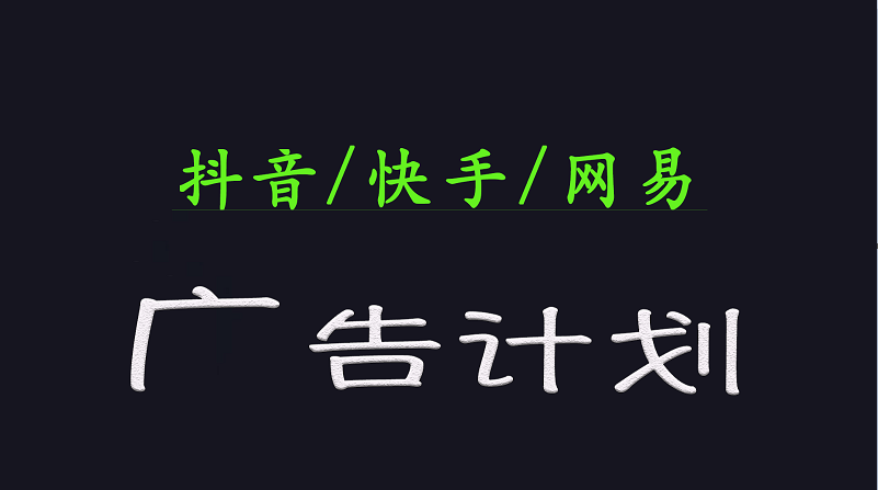2025短视频平台运营与变现广告计划日入1000+，小白轻松上手-资源V站