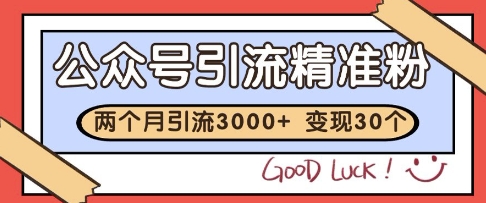 公众号精准粉引流玩法，2个月3000+精准粉，变现30个W【揭秘】-资源V站