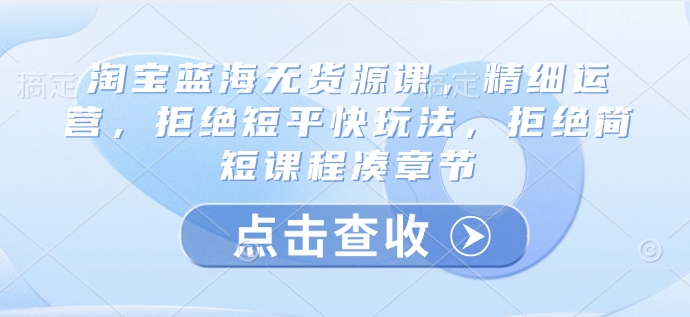 淘宝蓝海无货源课，精细运营，拒绝短平快玩法，拒绝简短课程凑章节-资源V站