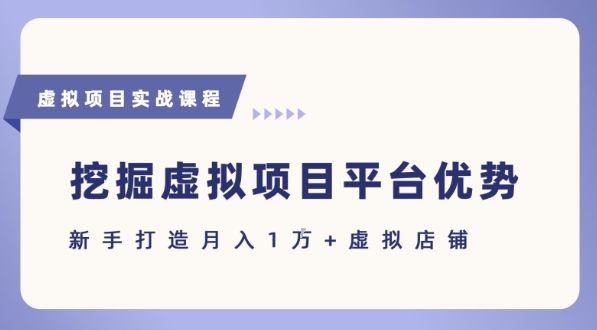 抓住虚拟项目各平台优势，新手轻松月入1W+(给出具体建议)-资源V站