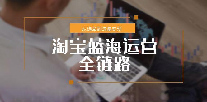 淘宝蓝海运营全链路，从选品到流量变现，小类目突围完整方案-资源V站