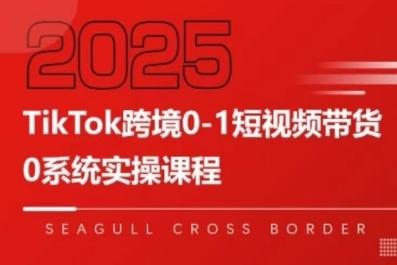 TikTok跨境0-1短视频带货，系统拆解TikTok跨境带货全链路，实现跨境可持续盈利-资源V站