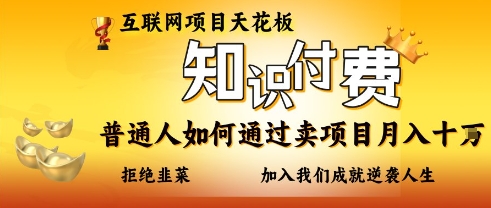 互联网项目天花板，知付付费项目，普通人如何通过卖项目月入十个，拒绝韭菜【揭秘】-资源V站