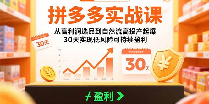 拼多多实战课：从高利润选品到自然流高投产起爆 30天实现低风险可持续盈利-资源V站