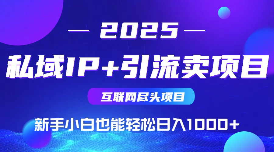 2025网创尽头项目，私域IP+引流，新手小白也能在家日入1000+-资源V站