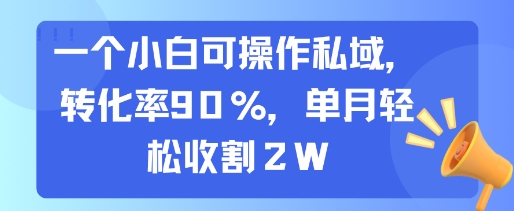 一个小白可操作私域，转化率90%，单月轻松收割2W-资源V站