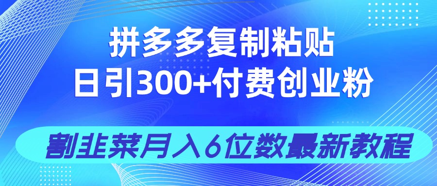 拼多多复制粘贴日引300+付费创业粉，割韭菜月入6位数最新教程！-资源V站