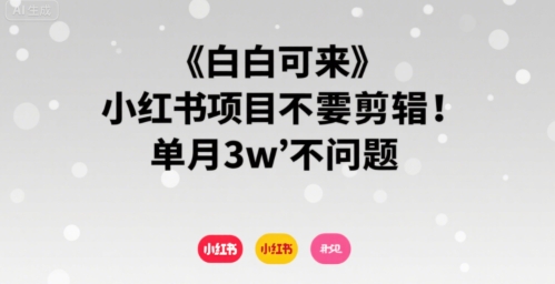 小白可来 小红书项目不需要剪辑 单月3w不是问题-资源V站