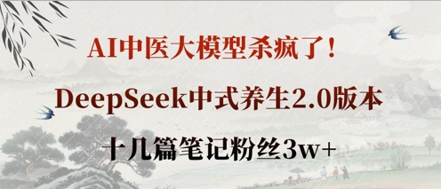 AI中医大模型杀疯了！DeepSeek中式养生2.0版本，十几篇笔记粉丝3w+-资源V站