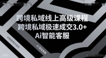 跨境私域线上高级课程，跨境私域极速成交3.0+Ai智能客服-资源V站