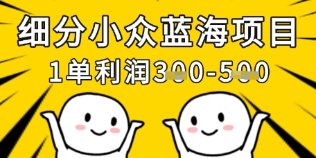 细分小众蓝海项目，一单利润3张，每月收入稳定过1w+-资源V站