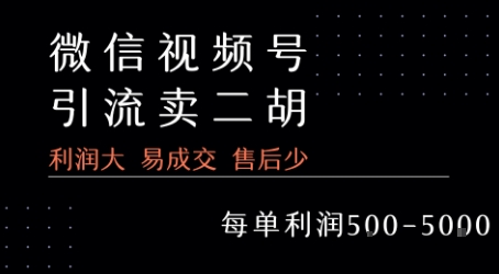 视频号卖二胡教程，利润大 易成交 售后少，一单利润5张+-资源V站