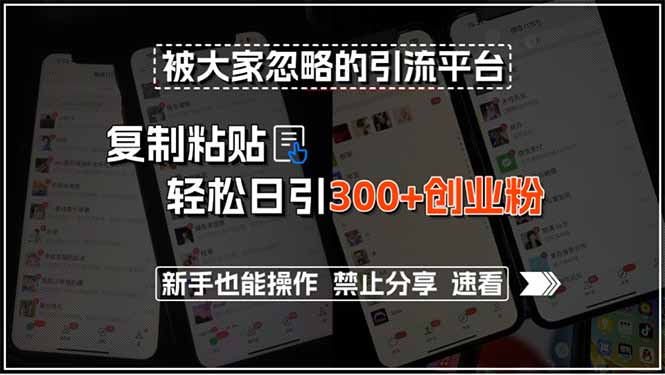 被大家忽略的引流平台，复制粘贴轻松日引300+创业粉，新手也能操作，禁…-资源V站