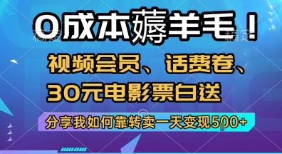 0成本薅羊毛!视频会员、话费卷、30元电影票白送，分享我如何靠转卖一天变现5张+【揭秘】-资源V站