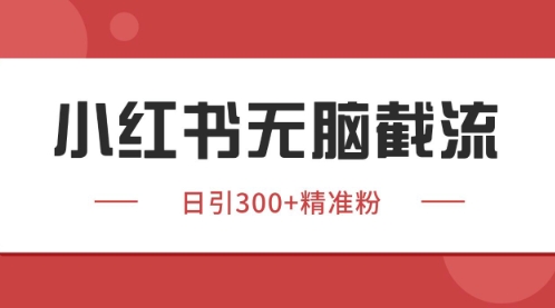 小红书只要你有同行就能获客，独家野路子获客玩法，暴力截流【揭秘】-资源V站