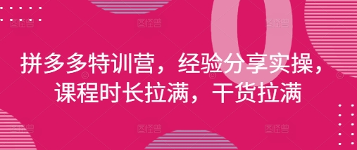 拼多多特训营，经验分享实操，课程时长拉满，干货拉满(更新25年4月)-资源V站