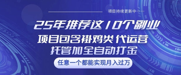 25年推荐这10个副业项目包含褂鸡类、代运营托管类、全自动打金类【揭秘】-资源V站