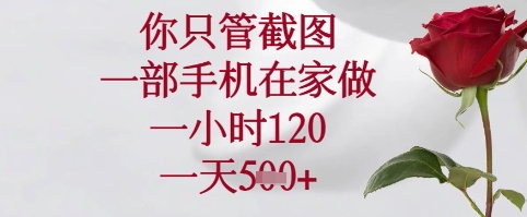 你只管截图，一部手机在家可以做，一小时120.一天5张+【揭秘】-资源V站