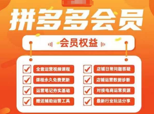 2025拼多多运营实战课，40节全流程教学，覆盖拼多多运营全链路-资源V站