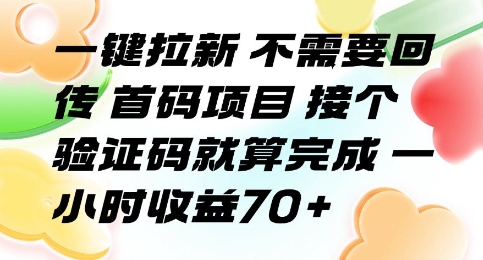 一键拉新 不需要回传 首码项目 接个验证码就算完成 一小时收益70+【揭秘】-资源V站
