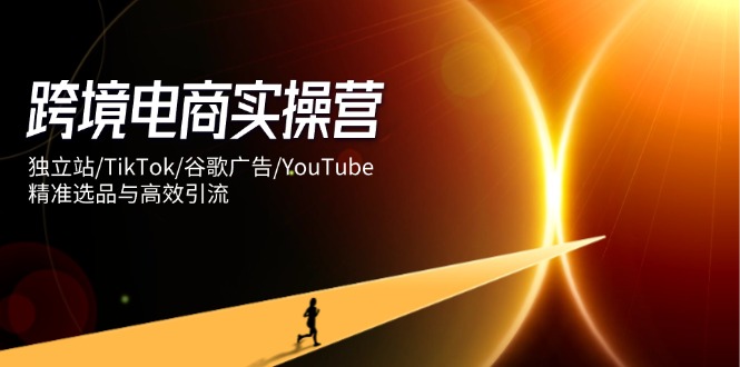 跨境电商实操营：独立站/TikTok/谷歌广告/YouTube，精准选品与高效引流-资源V站