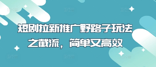 短剧拉新推广野路子玩法之截流，简单又高效-资源V站