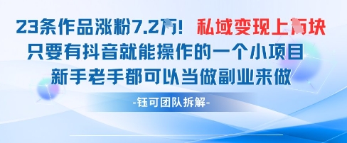 抖音私域项目23条作品涨粉7.2W，私域变现1W-资源V站