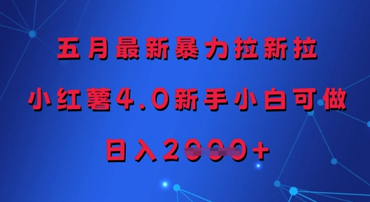 五月最新暴力拉新拉，小红薯4.0新手小白可做，日入多张-资源V站