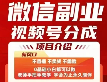 微信副业视频号分成，不直播 不卖货 不露脸，三五分钟即可完成一条作，每日收益几十、几张不等-资源V站