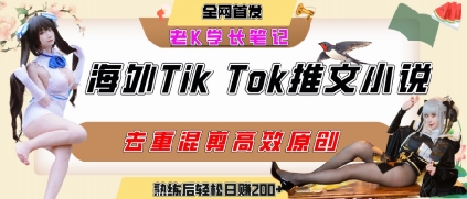 海外tiktok小说推文暴力项目，高停留率，高转化率，上手后一天搞顿饭钱不是问题-资源V站