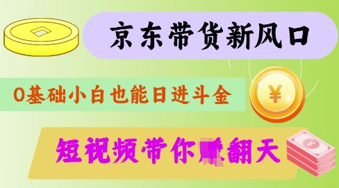 最新京东短视频带货代运营秘籍，轻松躺挣【揭秘】-资源V站