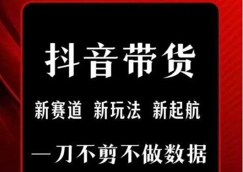 抖音短视频一刀不剪带货，不剪辑，不直播，每天发个视频，等着出单获取带货佣金-资源V站