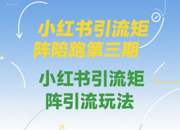 小红书引流矩阵陪跑第三期，小红书引流矩阵引流玩法-资源V站