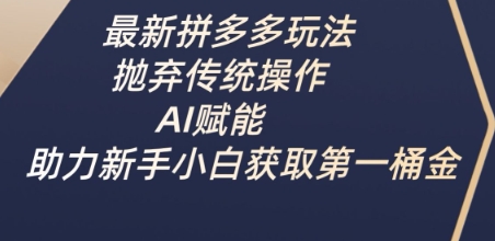 最新拼多多玩法，抛弃传统操作，AI赋能，助力新手小白获取第一桶金-资源V站