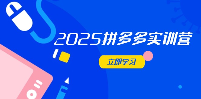 2025拼多多实训营：深度剖析运营关键，助力电商人快速提升-资源V站