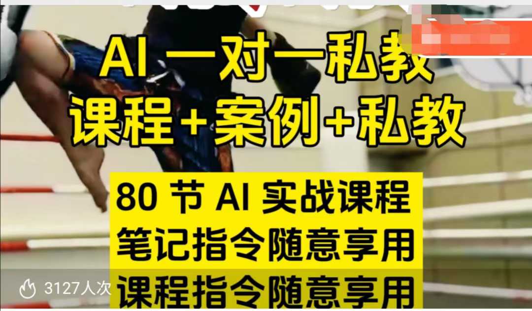 AI指令实战课，课程+案例，80节AI实战课程，笔记指令随意享用，课程指令随意享用(更新7月)-资源V站
