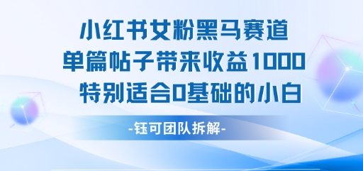 小红书女粉黑马赛道单篇帖子带来收益1k+，特别适合0基础的小白-资源V站