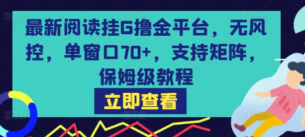 最新阅读挂G撸金平台，无风控，单窗口70+，支持矩阵，保姆级教程【揭秘】-资源V站