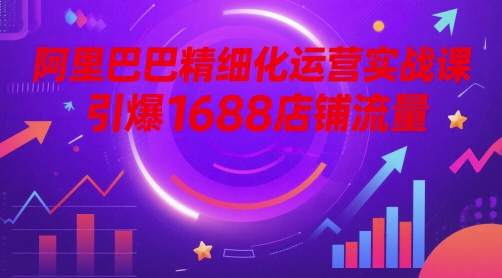 阿里巴巴精细化运营实战课，引爆1688店铺流量-资源V站