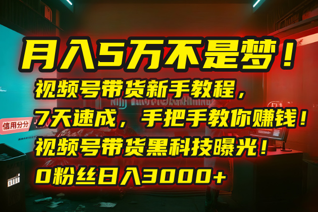 月入5万不是梦！视频号带货新手教程，7天速成，手把手教你赚钱！视频号…-资源V站