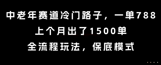 中老年赛道冷门路子，一单788，上个月出了1500单，全流程玩法，保底模式【揭秘】-资源V站
