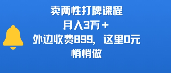 卖两性打牌课程，月入3W+外边收费899的课程，这里0元，悄悄做-资源V站