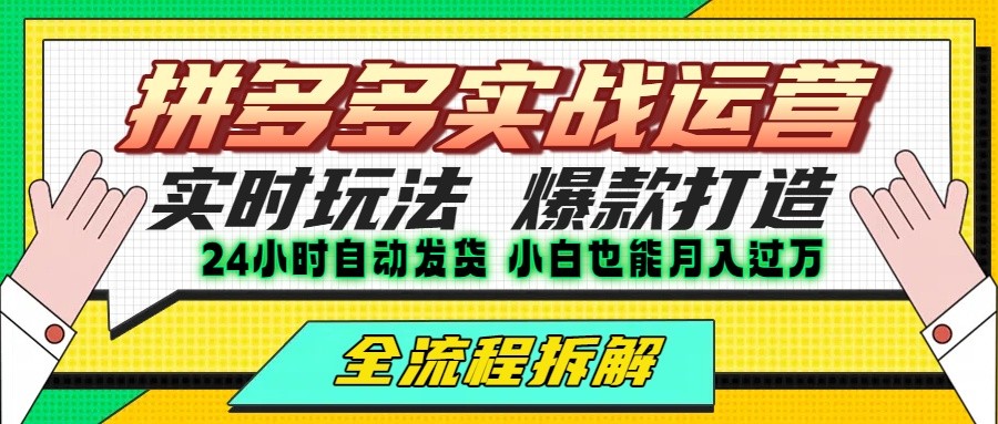 拼多多最新实战运营高投产：长久稳定项目，单店利润一天三位数-资源V站