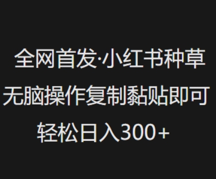 全网首发，小红书种草无脑操作，复制黏贴即可，轻松日入3张-资源V站