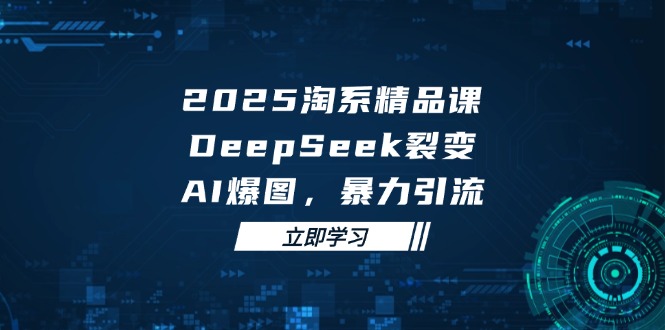 2025 淘系精品课，DeepSeek 裂变，AI 爆图，暴力引流-资源V站